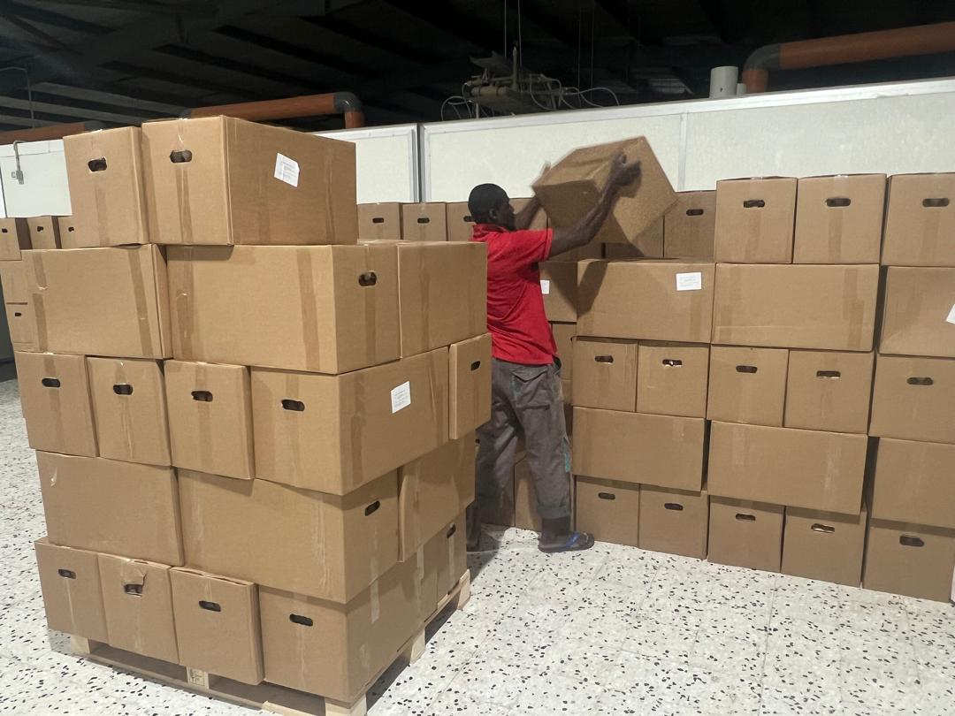 عمال الفرز والتجهيز - صورة 4