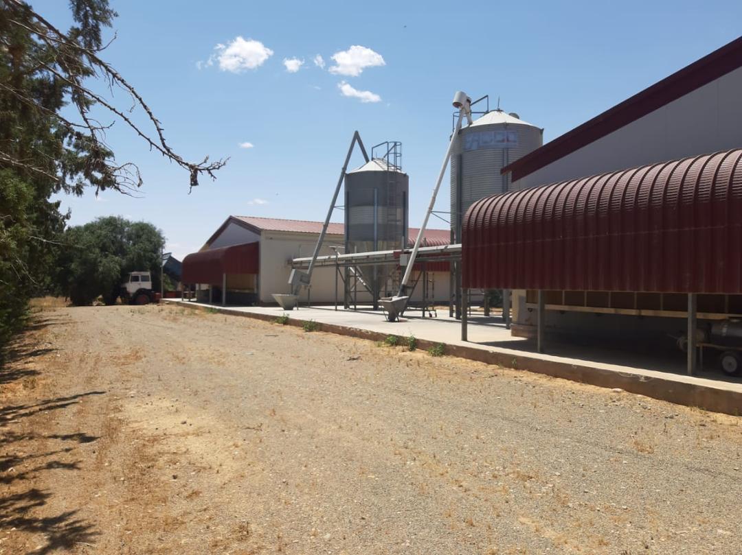 منظومة الأعلاف - صورة 4